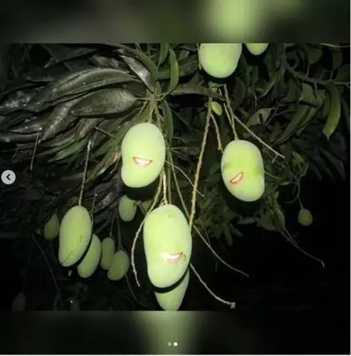 benda kalau difoto malam hari jadi serem © 2021 instagram.com