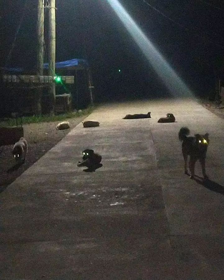 benda kalau difoto malam hari jadi serem © 2021 instagram.com