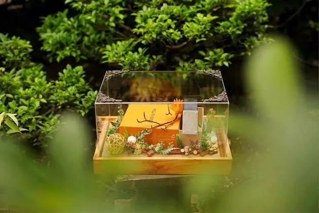 Potret seserahan lamaran seleb dari berbagai sumber