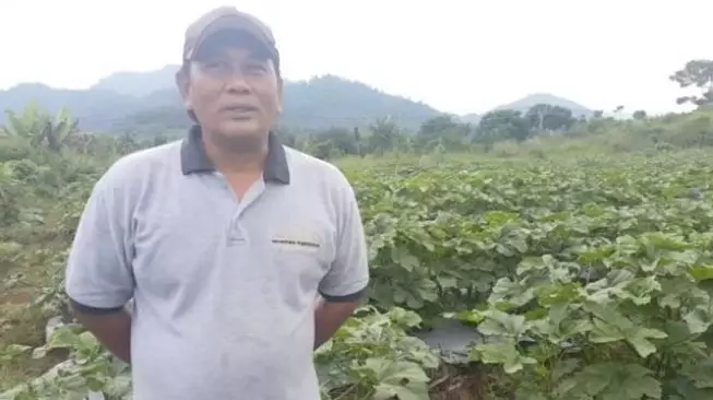 seleb ini beralih profesi jadi petani dari berbagai sumber
