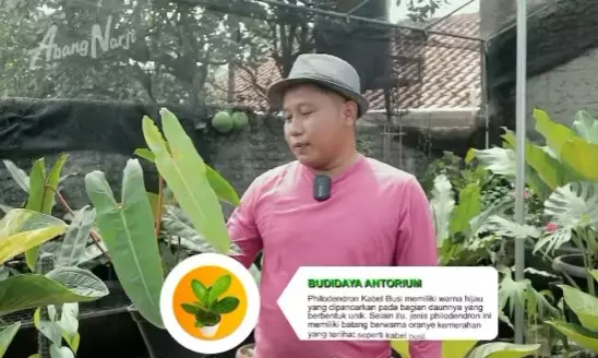 seleb ini beralih profesi jadi petani dari berbagai sumber