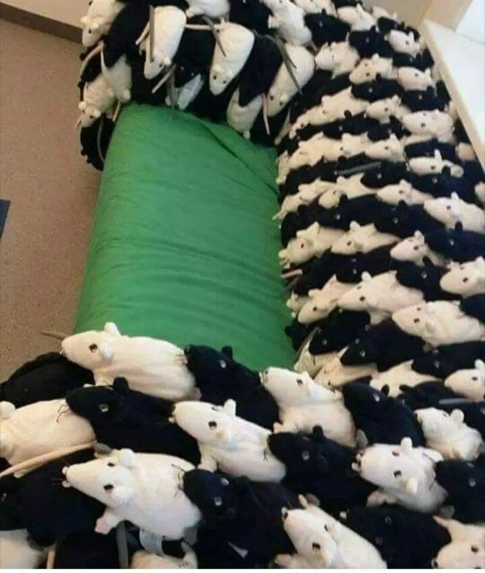 penampakan di kamar tidur yang absurd banget © 2021 berbagai sumber penampakan di kamar tidur yang absurd banget © 2021 berbagai sumber