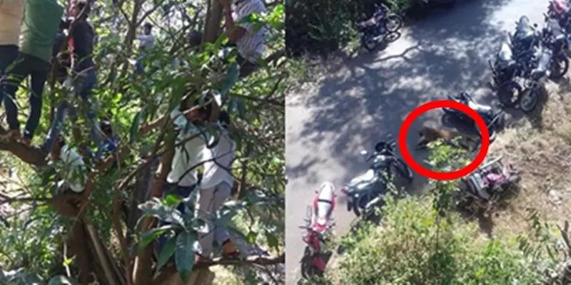 bapak-bapak pada kumpul untuk alasan absurd © 2021 instagram.com