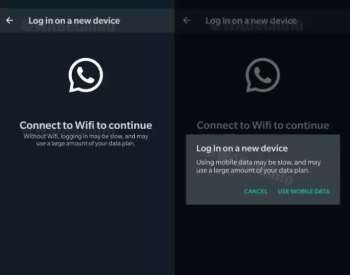 7 Fitur WA ini rilis akhir 2021, bakal ada 'Instagram Reels' berbagai sumber