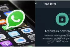 7 Fitur WhatsApp ini rilis akhir 2021, bakal ada 'Instagram Reels'