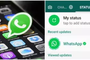 9 Langkah download status WA orang lain, tanpa aplikasi tambahan