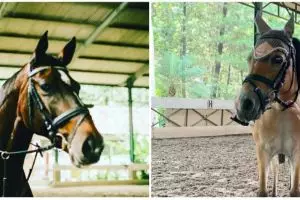 5 Potret anak seleb latihan berkuda, putri Irfan Hakim sempat terjatuh