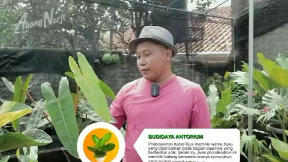 komedian ini banting stir jadi petani Berbagai sumber  komedian ini banting stir jadi petani Berbagai sumber