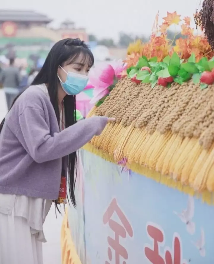 Potret Li Ziqi Berbagai sumber 