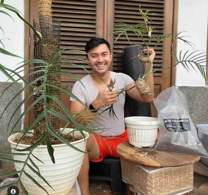 seleb yang dijuluki raja sinetron Berbagai sumber 