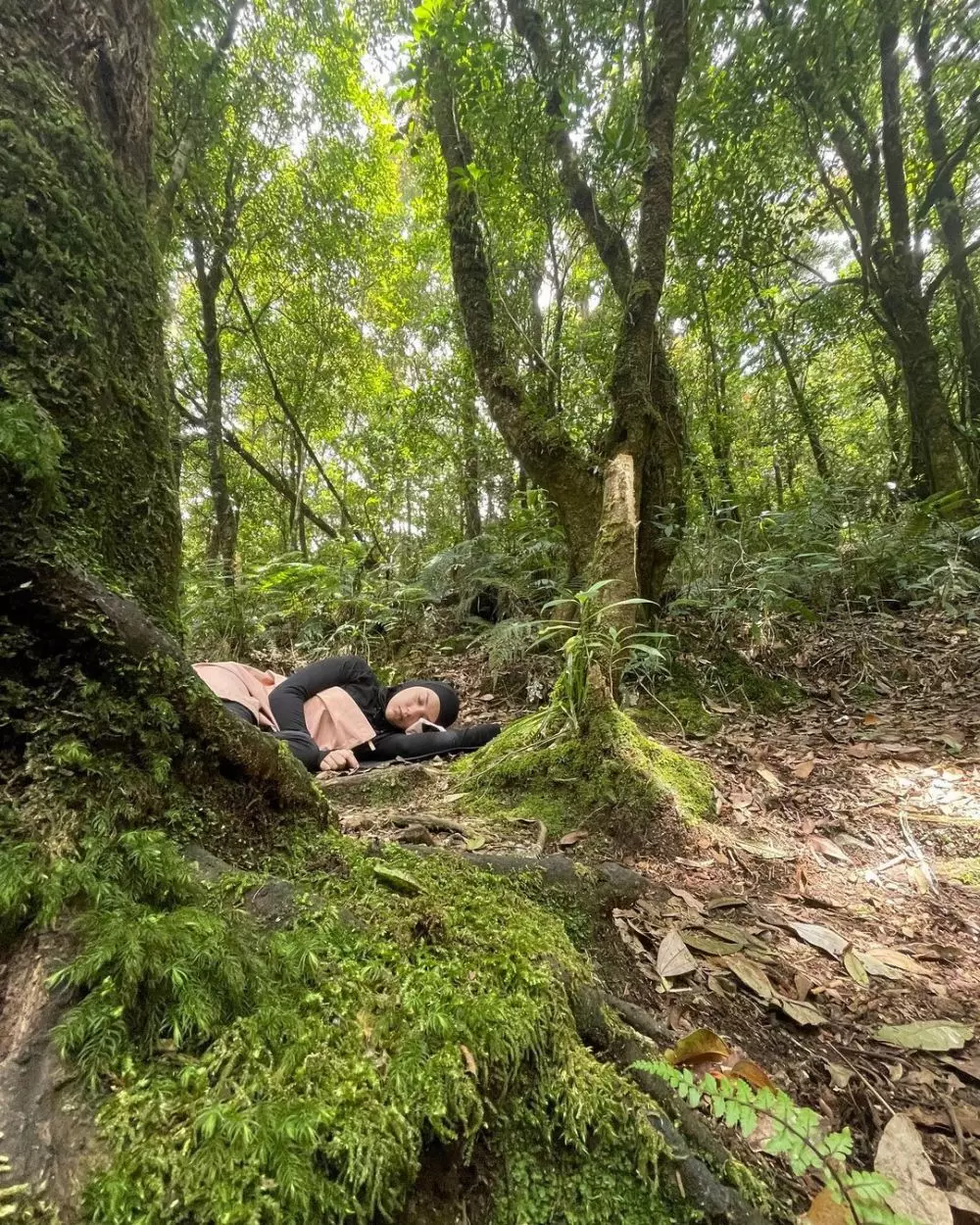 ammar bella naik gunung © 2021 Instagram ammar bella naik gunung © 2021 Instagram