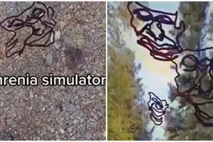 Pria ini tunjukkan bisikan dan penglihatan aneh penderita skizofrenia