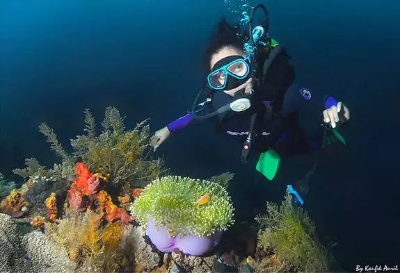 Penyanyi diving © 2021 brilio.net