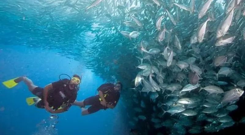 Penyanyi diving © 2021 brilio.net