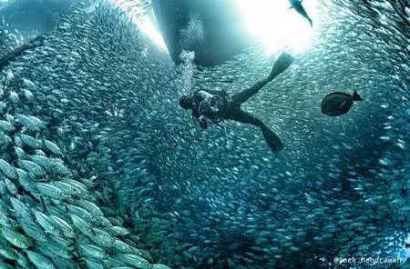 Penyanyi diving © 2021 brilio.net