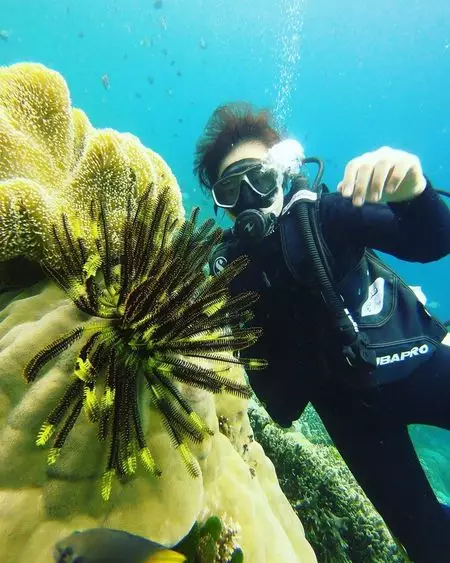 Penyanyi diving © 2021 brilio.net