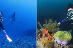 Potret 7 penyanyi wanita jago diving, Gisel foto bareng mola fish