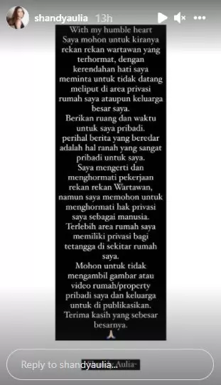 Curhat galau Shandy Aulia © 2021 Instagram