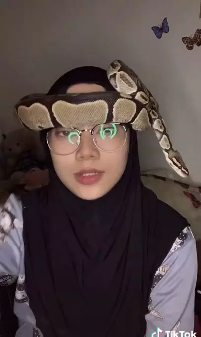 hijaber jadikan ular sebagai turban © 2021 brilio.net/TikTok