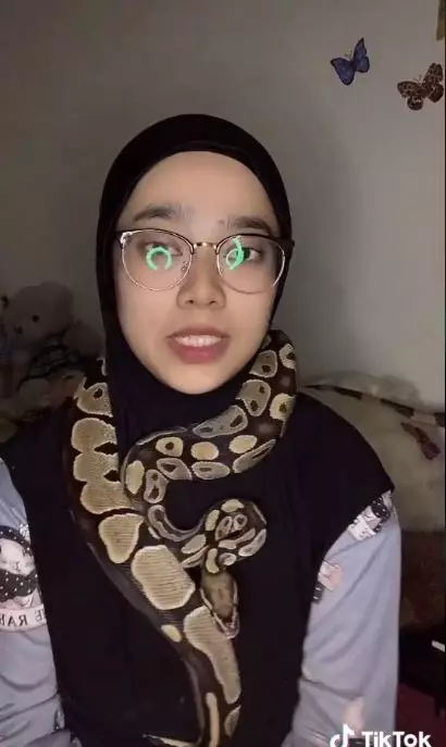 hijaber jadikan ular sebagai turban © 2021 brilio.net/TikTok