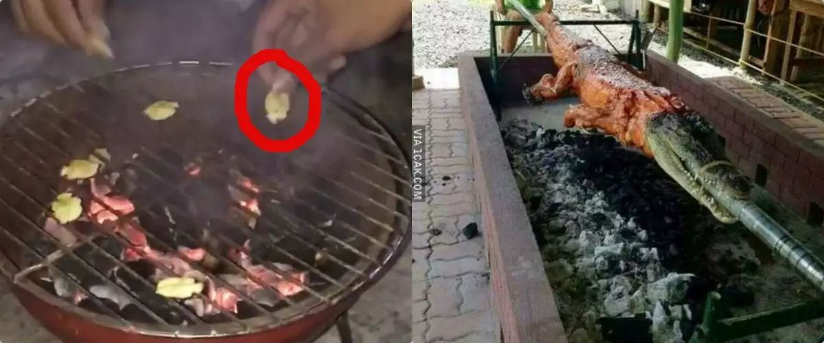 11 Penampakan lucu makanan saat dibakar ini absurd bukan main