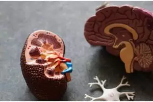 Tak banyak yang tahu, 5 sayuran ini perlu dihindari saat sakit ginjal