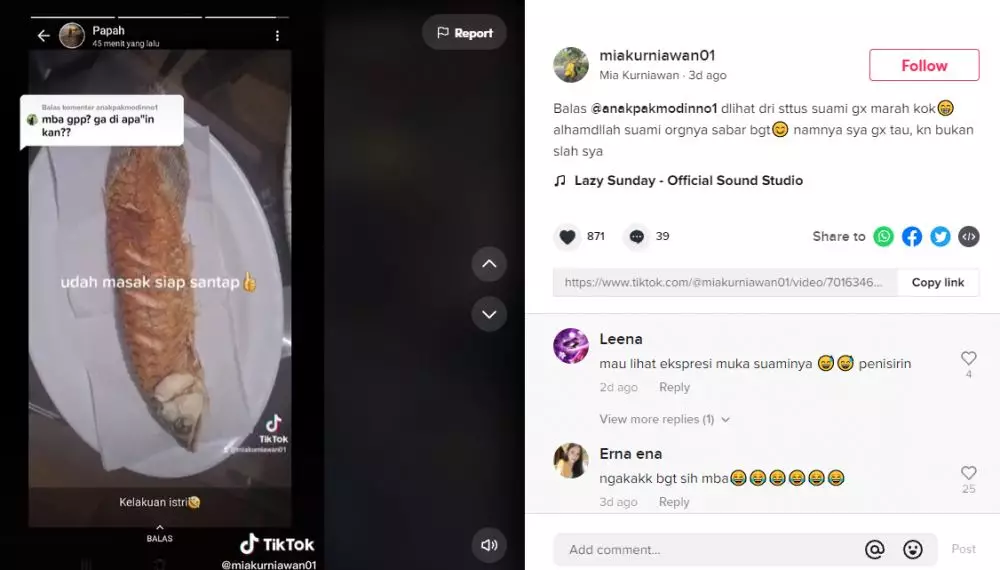Kesal suami tak bersihkan akuarium perempuan ini goreng ikannya TikTok
