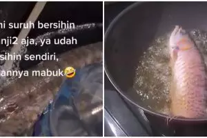 Suami malas bersihkan akuarium, ikan arwana koleksi digoreng istri