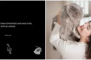 75 Kata-kata bijak pencinta hewan, jadikan diri lebih penyayang