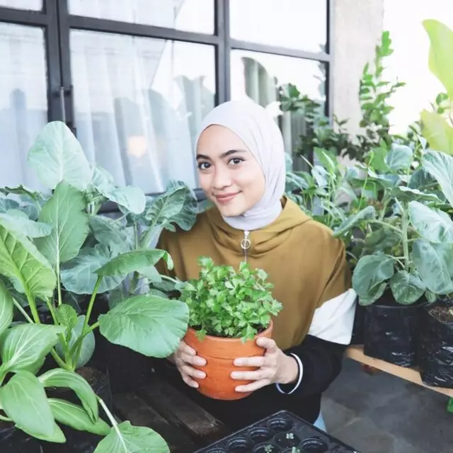 cara seleb menata tanaman dari berbagai sumber