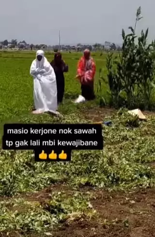 Jalankan ibadah salat di tengah sawah © 2021 Instagram