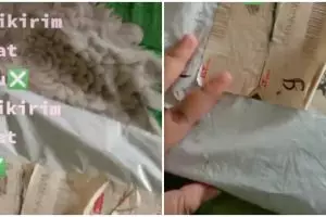 Paket belanja online baru datang dua tahun, begini kronologinya