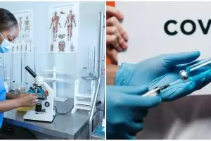 China tolak WHO kunjungi gua kelelawar yang diduga sumber Covid-19