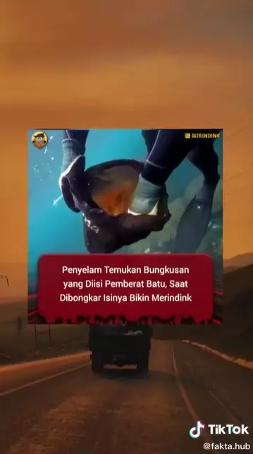 Viral penyelam temukan bungkusan hitam di laut TikTok Viral penyelam temukan bungkusan hitam di laut TikTok