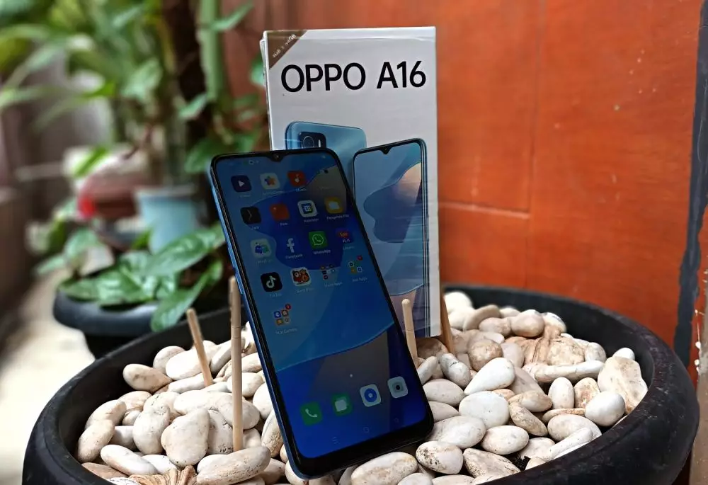 Oppo A16 tanaman hias © 2021 brilio.net