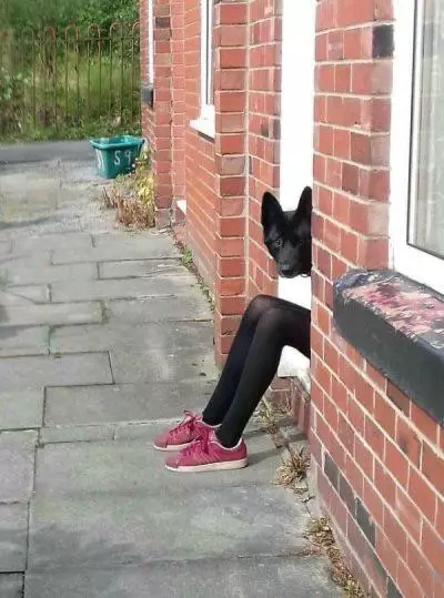 posisi hewan dan manusia ini pas waktu di foto © 2021 berbagai sumber posisi hewan dan manusia ini pas waktu di foto © 2021 berbagai sumber