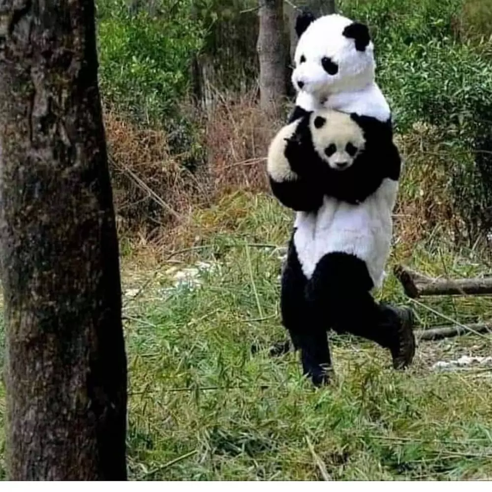 posisi hewan dan manusia ini pas waktu di foto © 2021 berbagai sumber posisi hewan dan manusia ini pas waktu di foto © 2021 berbagai sumber