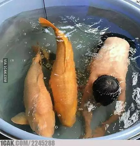 posisi hewan dan manusia ini pas waktu di foto © 2021 berbagai sumber posisi hewan dan manusia ini pas waktu di foto © 2021 berbagai sumber