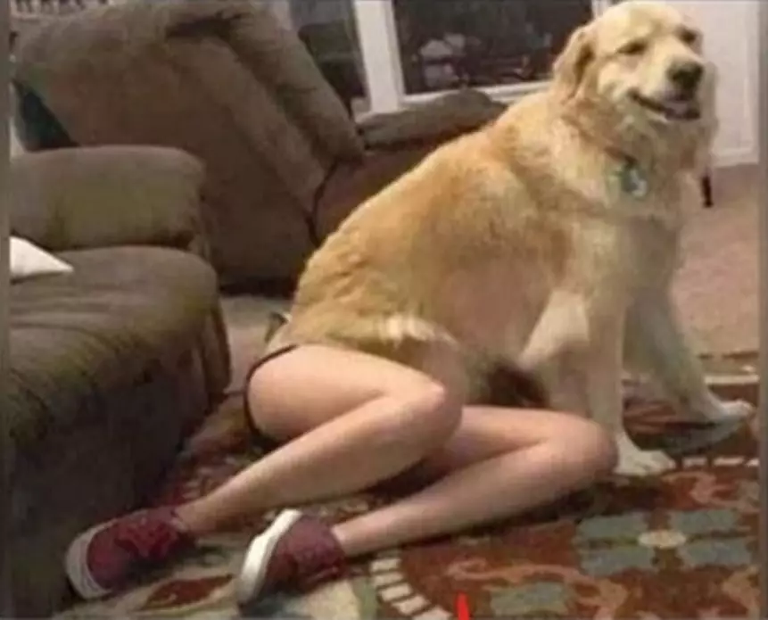 posisi hewan dan manusia ini pas waktu di foto © 2021 berbagai sumber posisi hewan dan manusia ini pas waktu di foto © 2021 berbagai sumber