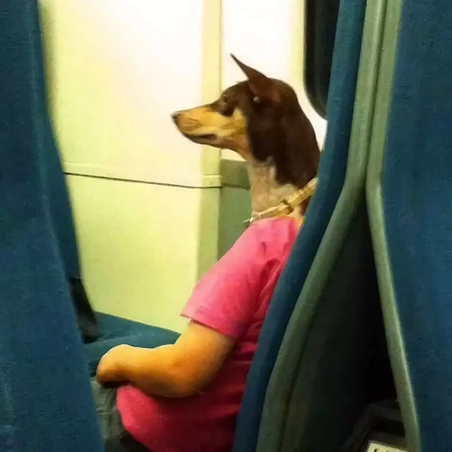 posisi hewan dan manusia ini pas waktu di foto © 2021 berbagai sumber posisi hewan dan manusia ini pas waktu di foto © 2021 berbagai sumber