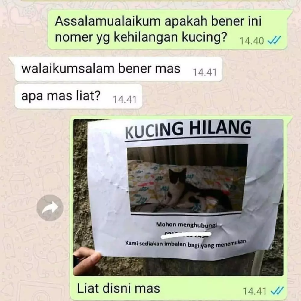 udah di-chat kirain mau dibantu © 2021 instagram.com