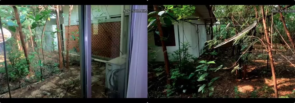rumah mewah ada sisik ular © 2021 YouTube rumah mewah ada sisik ular © 2021 YouTube