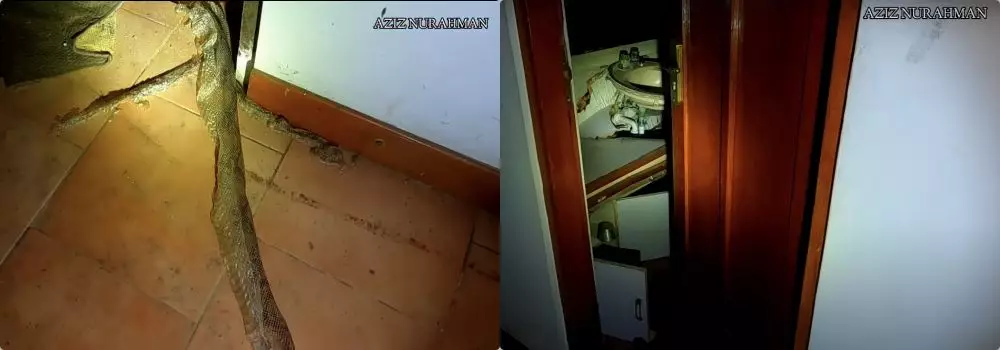 rumah mewah ada sisik ular © 2021 YouTube rumah mewah ada sisik ular © 2021 YouTube