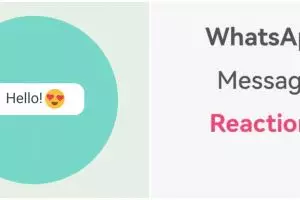 5 Fitur terbaru WhatsApp segera rilis, ada Message Reactions