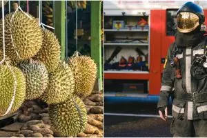 Durian bikin panik warga Canberra, dikira kebocoran gas berbahaya