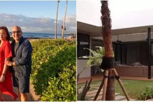 9 Potret detail rumah Maia Estianty usai renovasi, bergaya tropikal