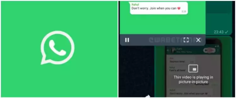 5 Cara kerja fitur Control Bar WhatsApp yang mempermudah nonton video