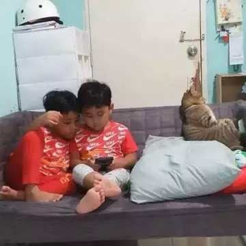 17 Tingkah kucing di rumah ini bener-bener like a boss, gemuy banget © 2021 brilio.net 17 Tingkah kucing di rumah ini bener-bener like a boss, gemuy banget © 2021 brilio.net