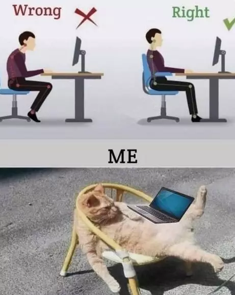 17 Tingkah kucing di rumah ini bener-bener like a boss, gemuy banget © 2021 brilio.net 17 Tingkah kucing di rumah ini bener-bener like a boss, gemuy banget © 2021 brilio.net