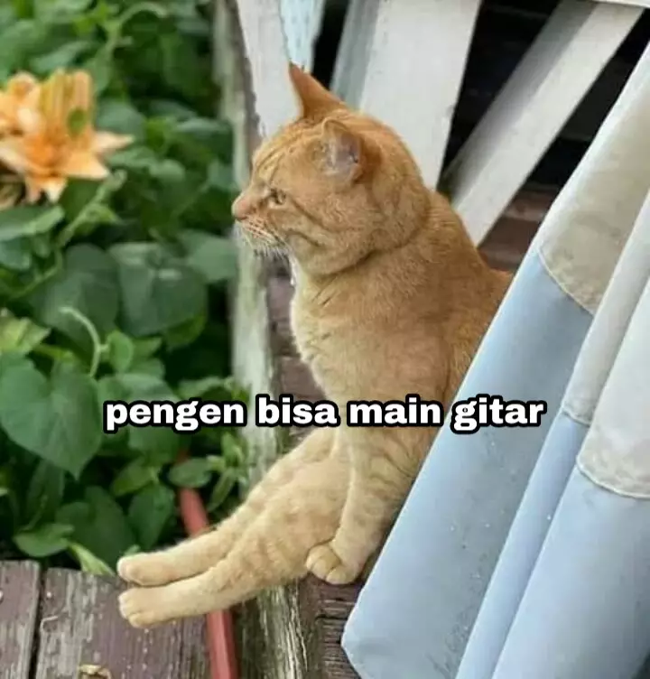 17 Tingkah kucing di rumah ini bener-bener like a boss, gemuy banget © 2021 brilio.net 17 Tingkah kucing di rumah ini bener-bener like a boss, gemuy banget © 2021 brilio.net